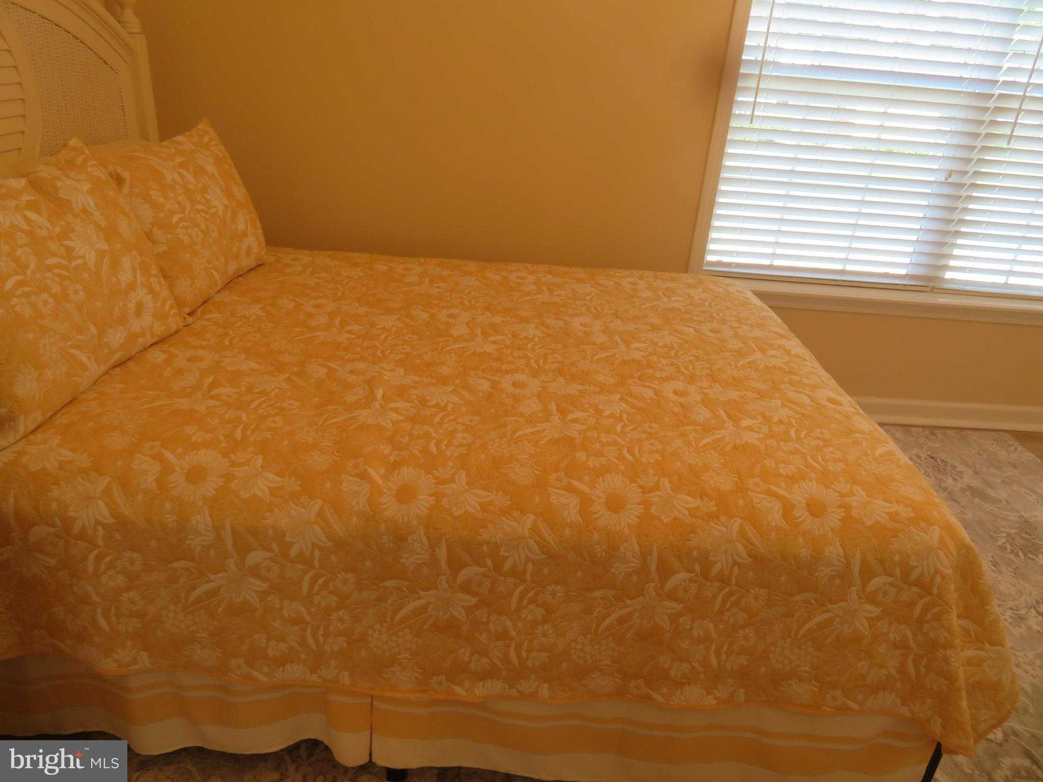 219 Timberline Cir photo 33