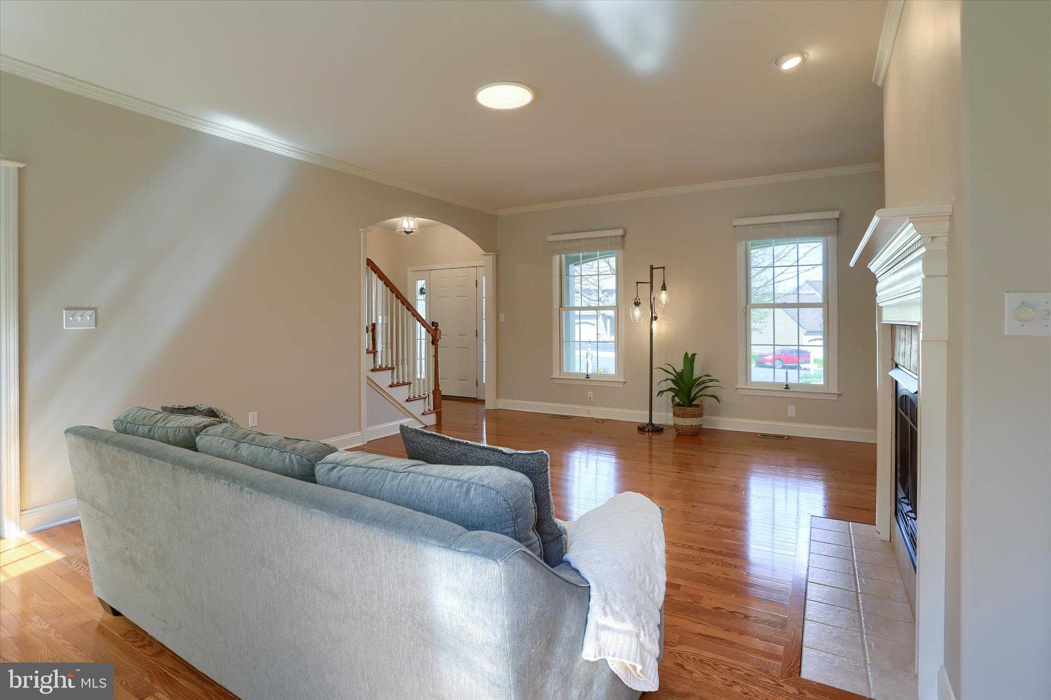 485 Seedling CT photo 11