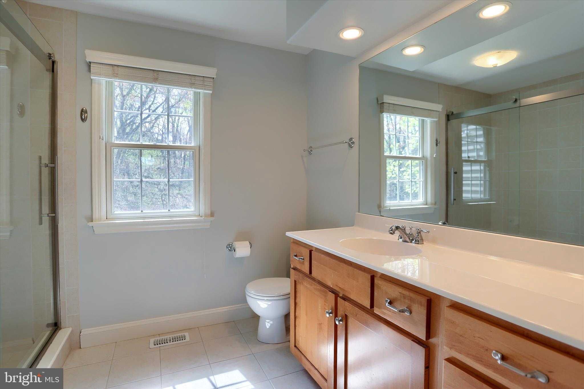 485 Seedling CT photo 46