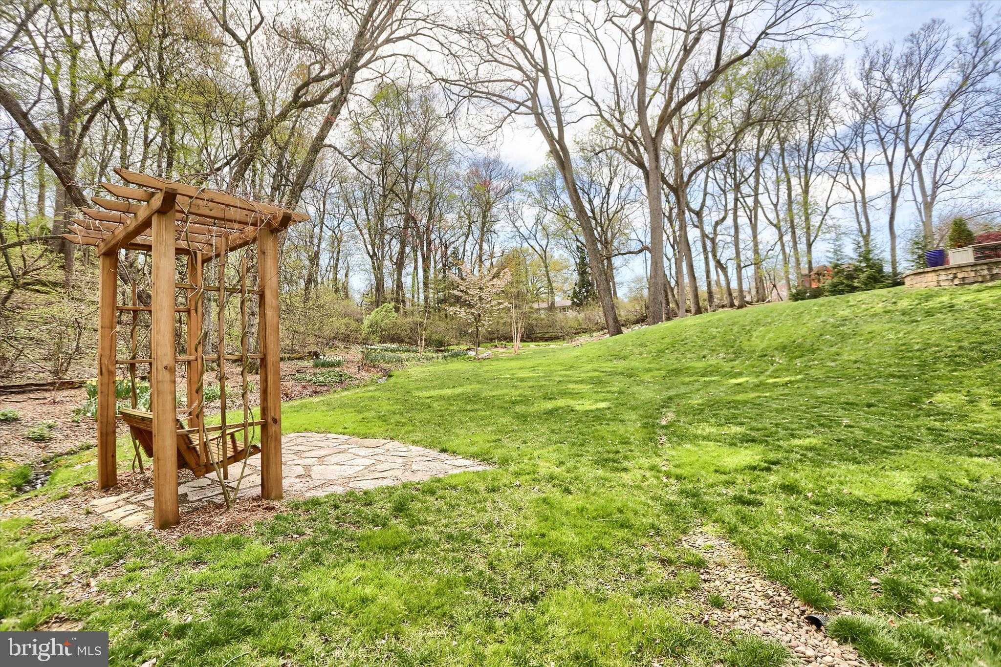 485 Seedling CT photo 58