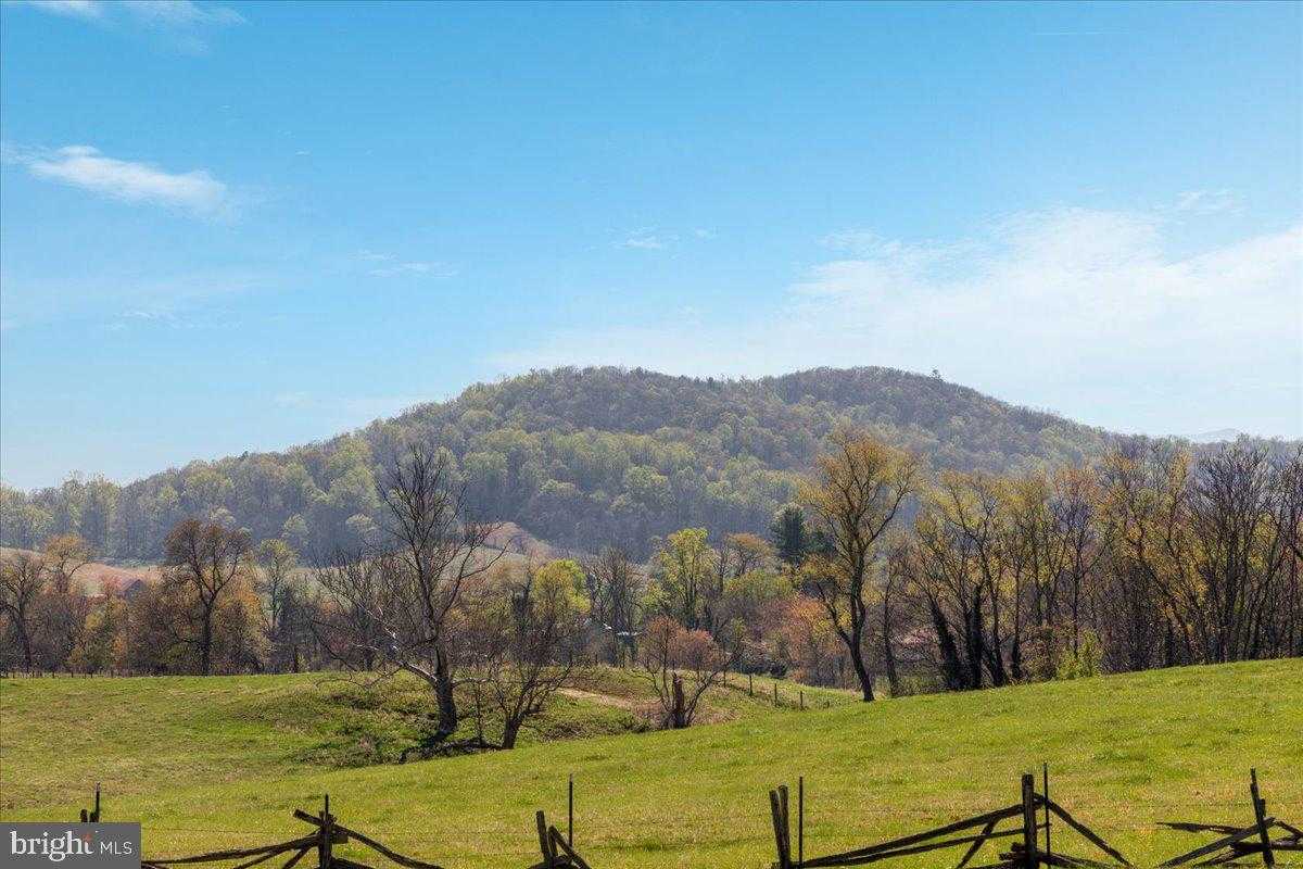 540 Mount Salem Ave photo 9