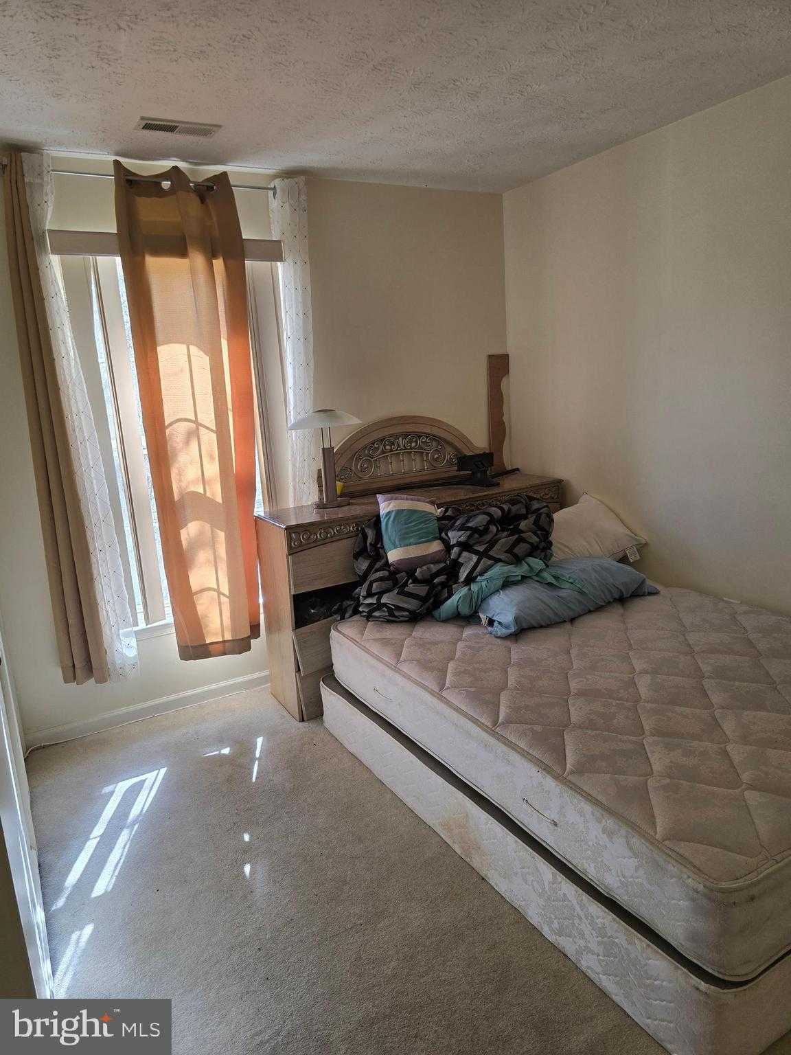 5161 Spring Willow CT photo 14