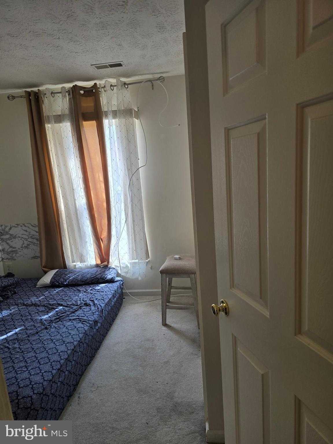 5161 Spring Willow CT photo 15