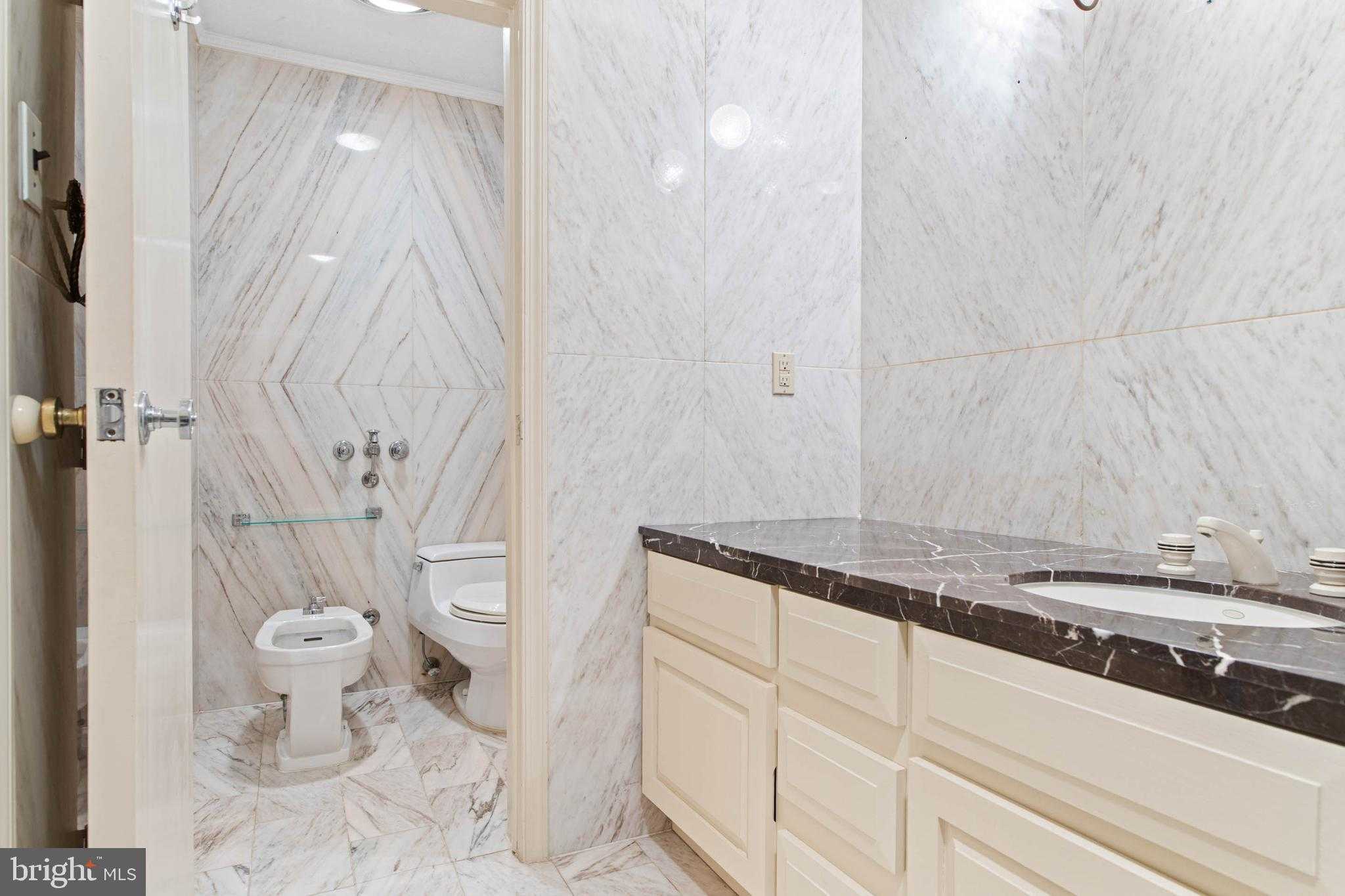 844 Bryn Mawr Ave photo 50