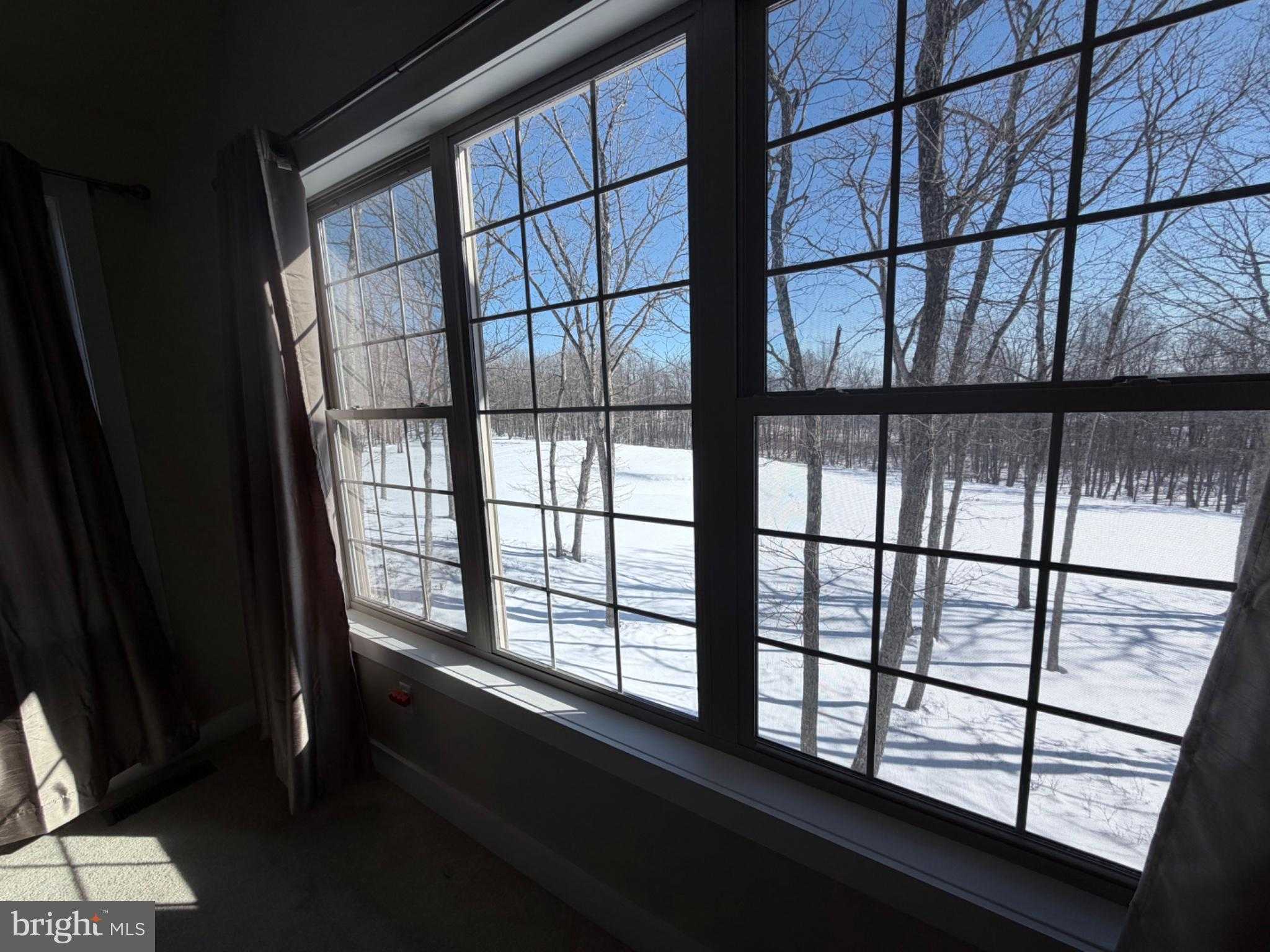 117 Crooked Stick Ln photo 22