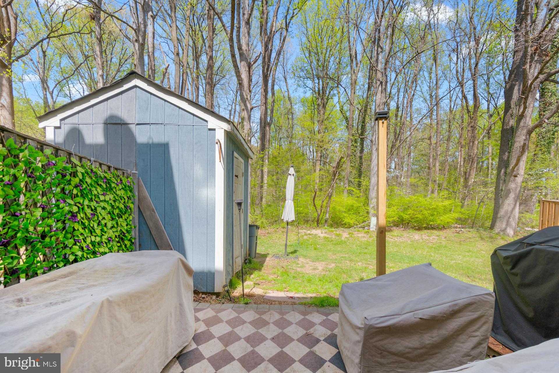 3433 Elenoir CT photo 34