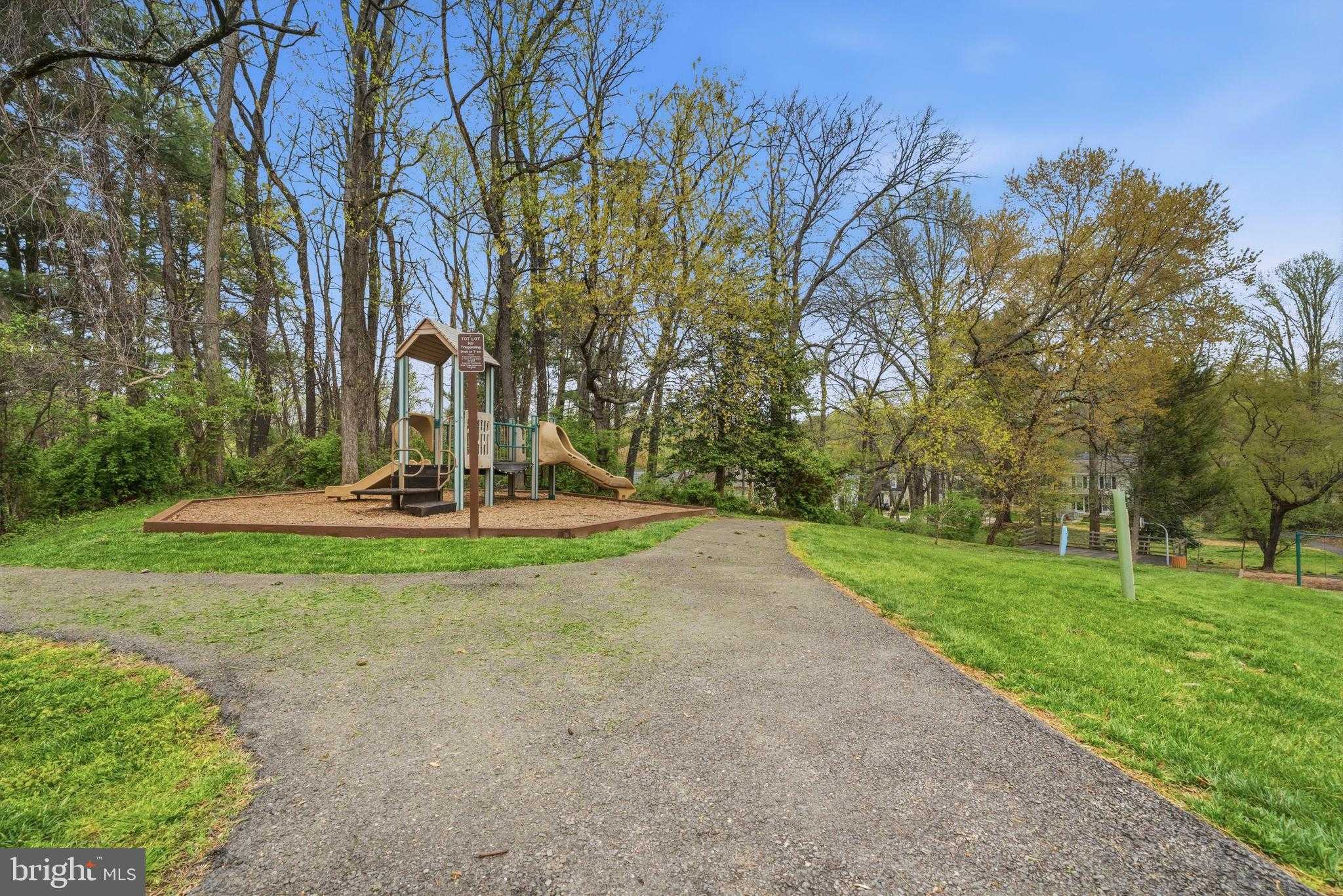 10058 Chestnut Wood Ln photo 50