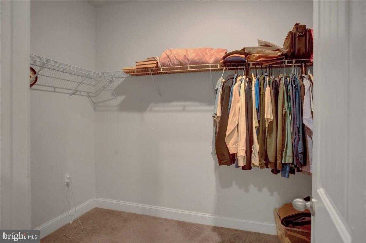 18732 Ballantyne Way photo 28