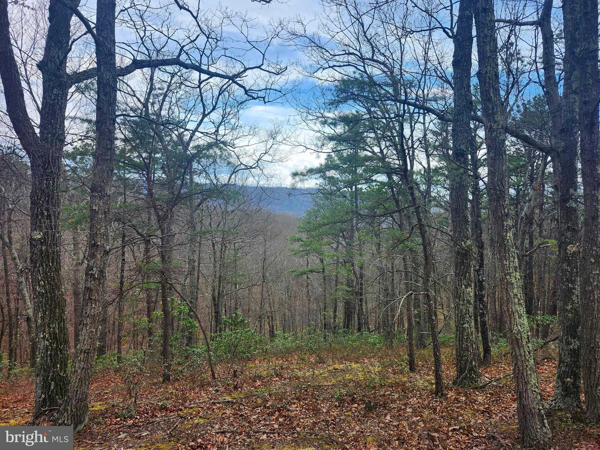 39 Cardinal Rdg E photo 7