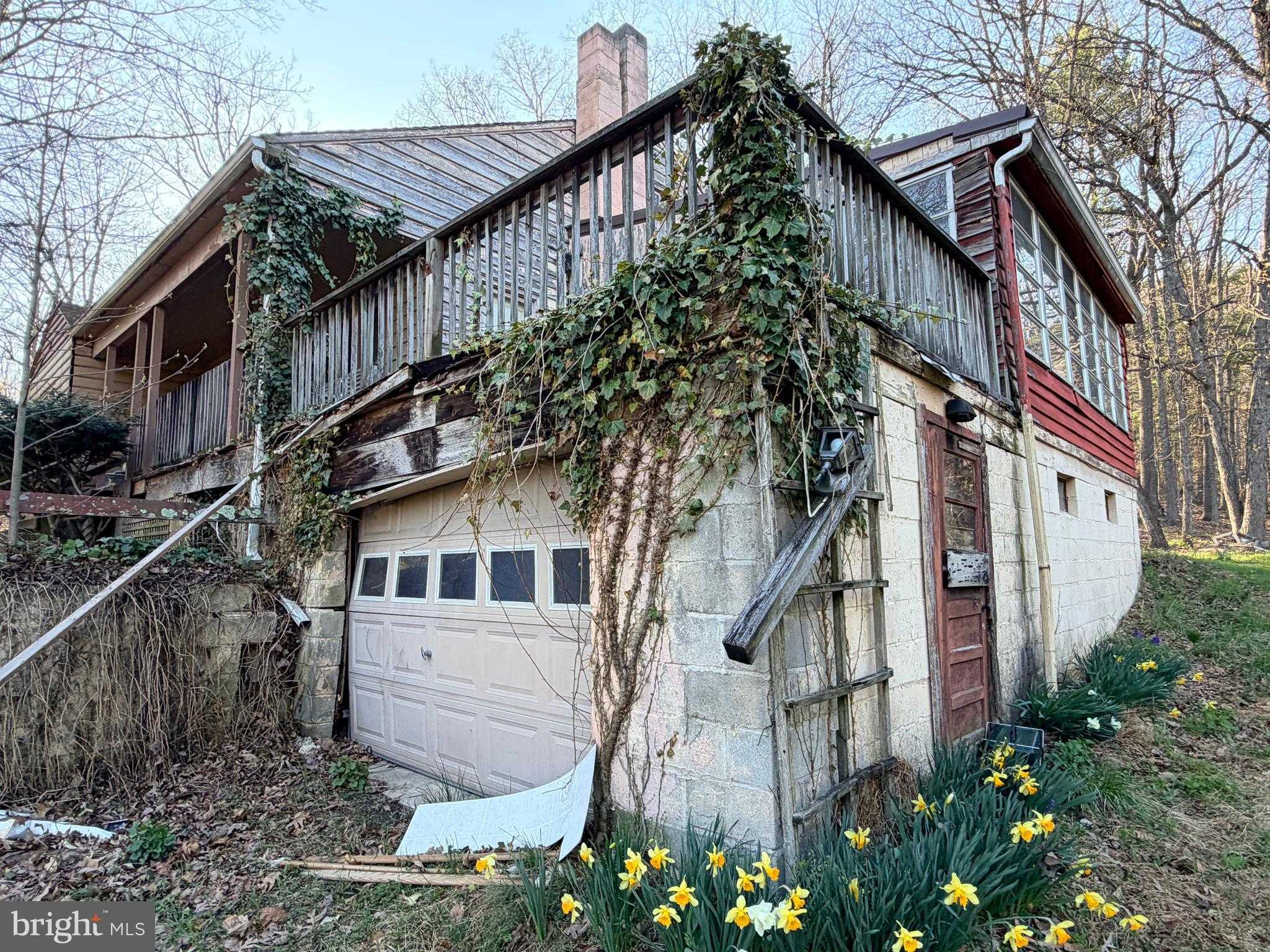 6054 Cornelius Ln photo 33