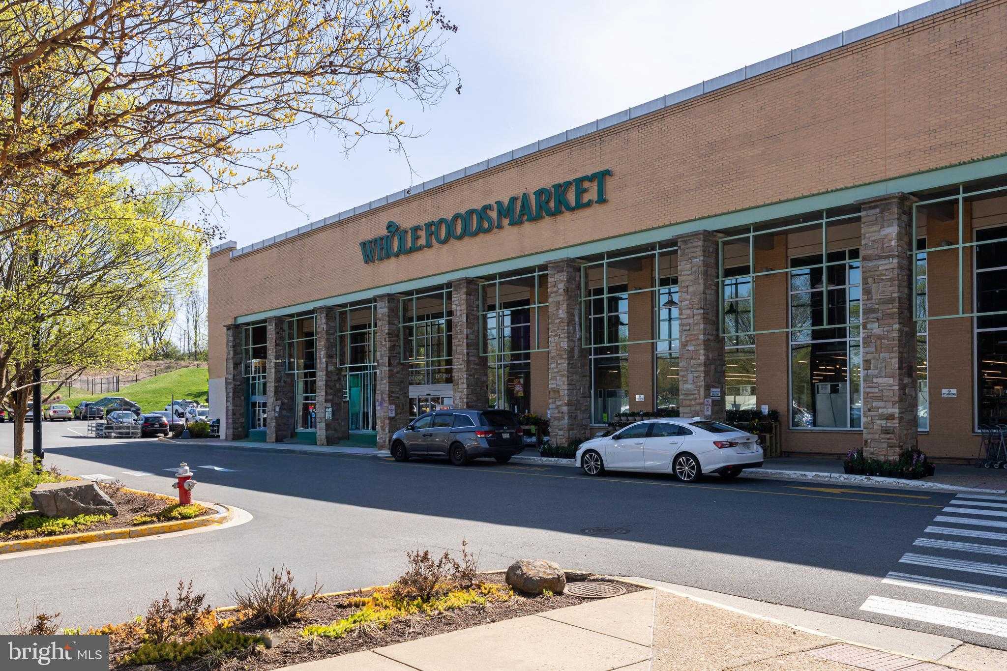 12312 Fox Lake CT photo 37