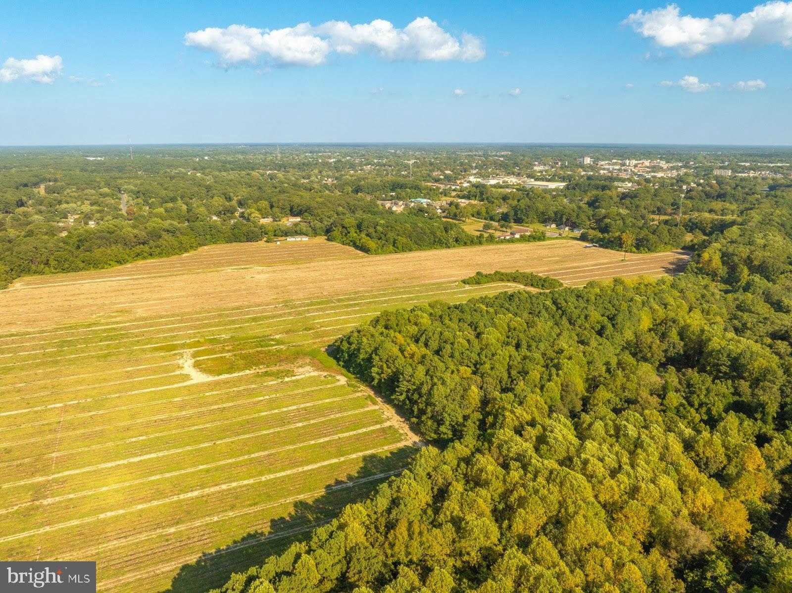 Wicomico St photo 18