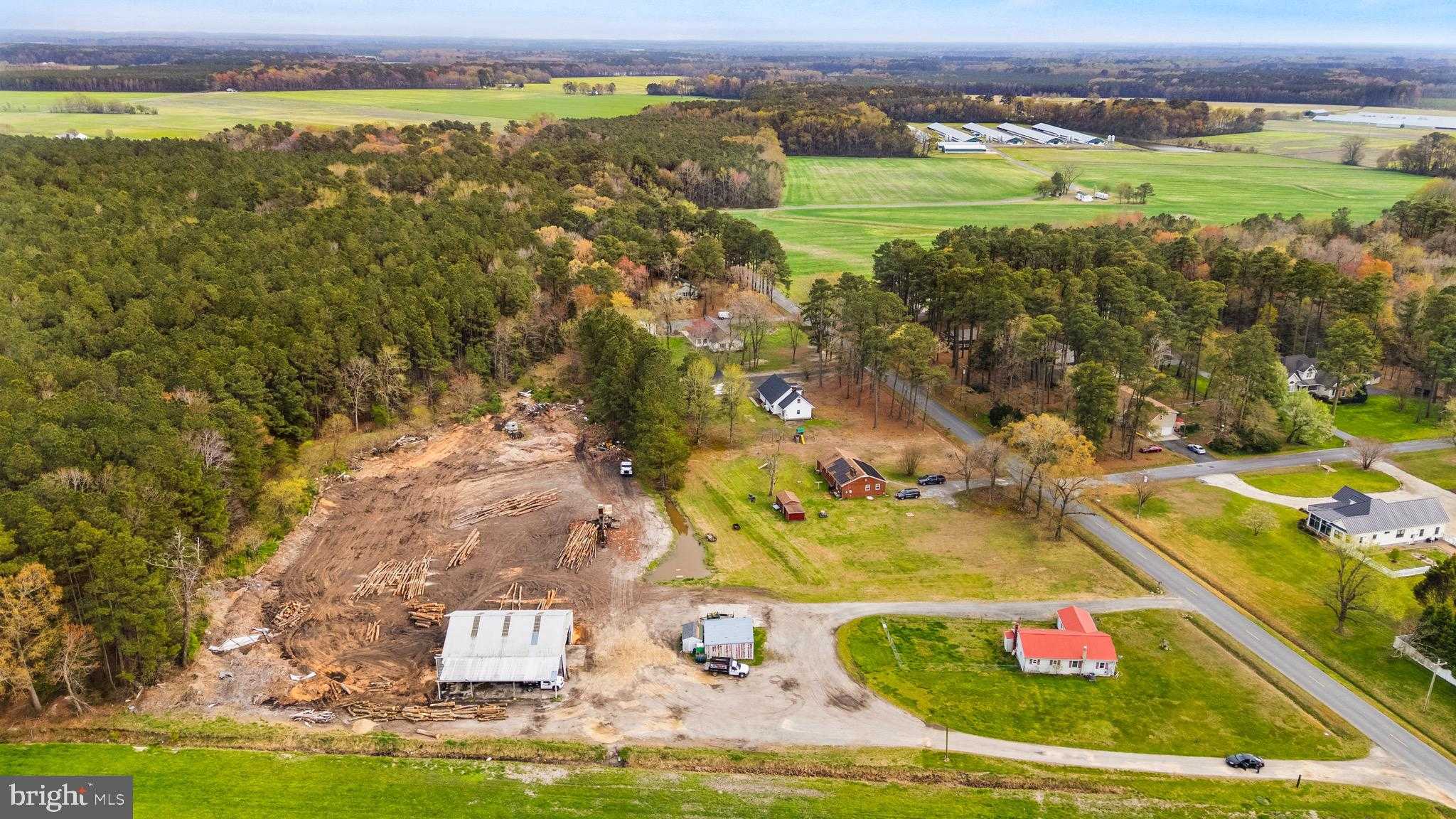 1762 Buck Harbor Rd photo 12