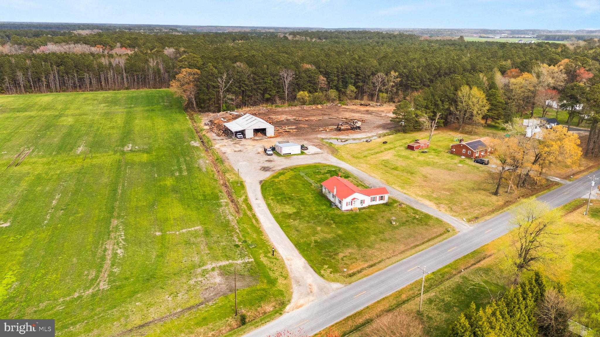 1762 Buck Harbor Rd photo 14