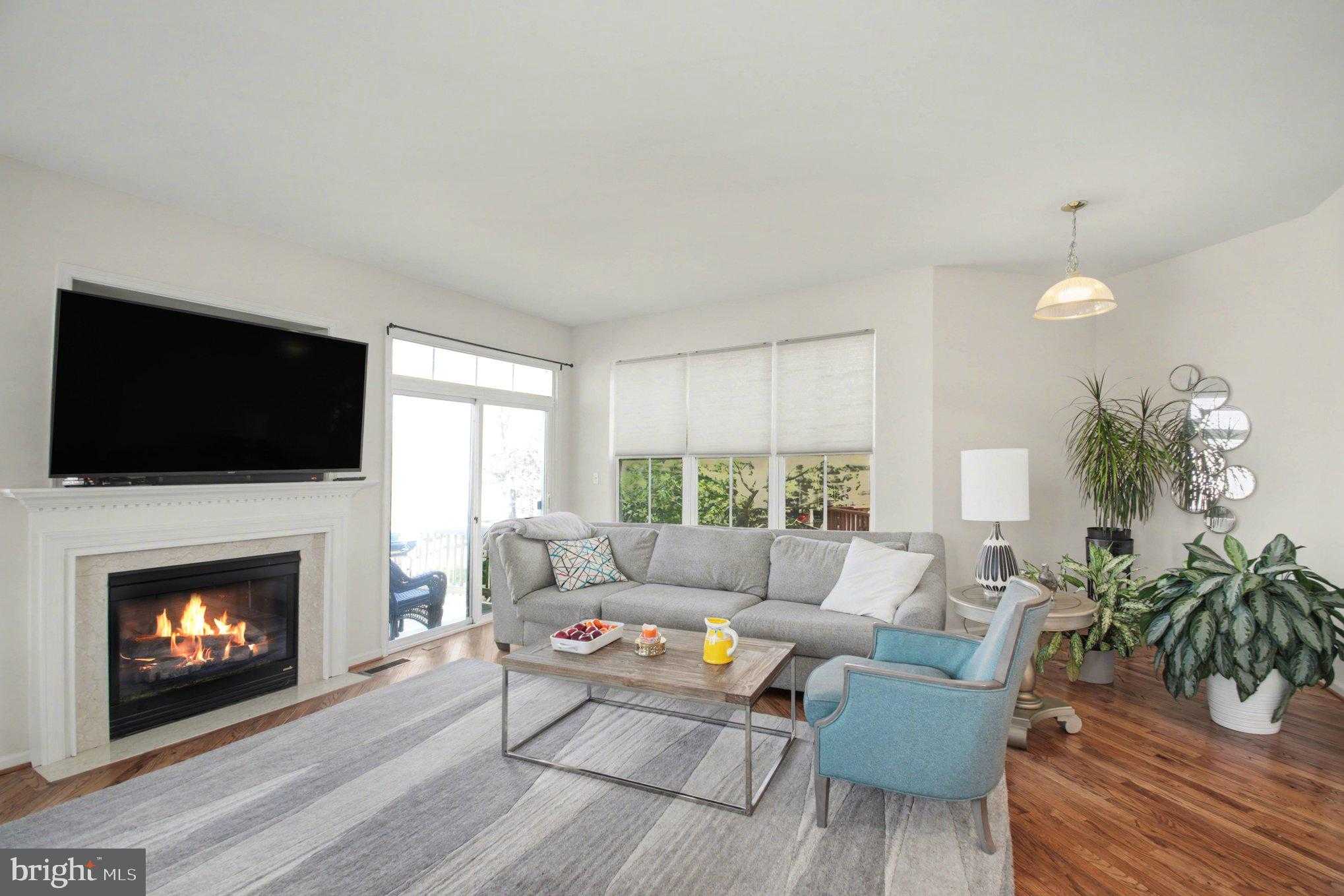 42464 Regal Wood Dr photo 3