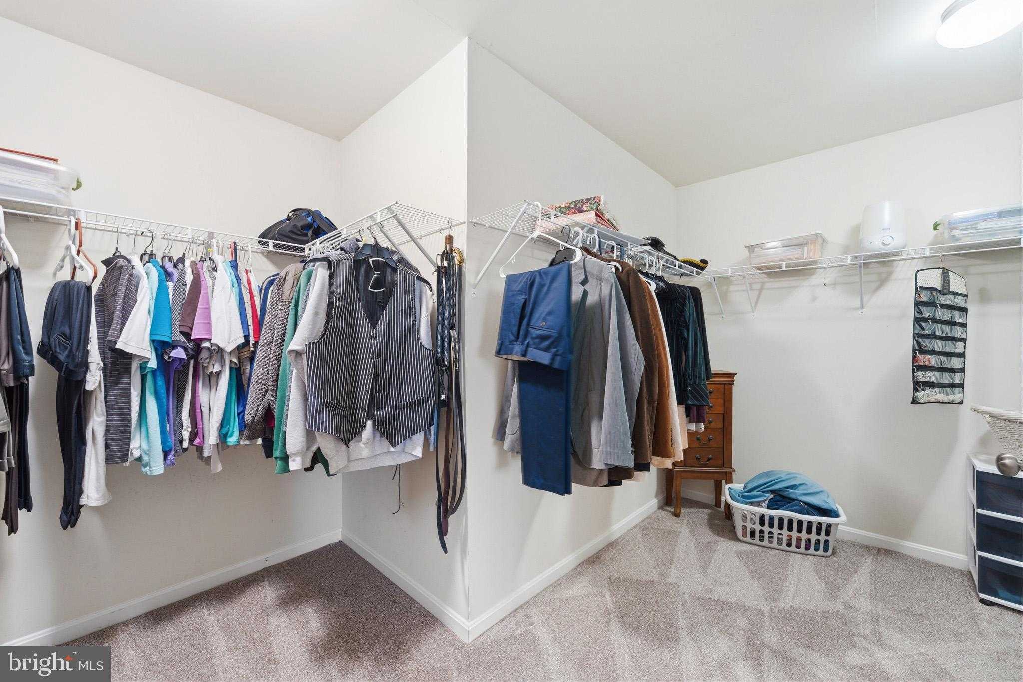 10200 Twisted Stalk CT photo 25