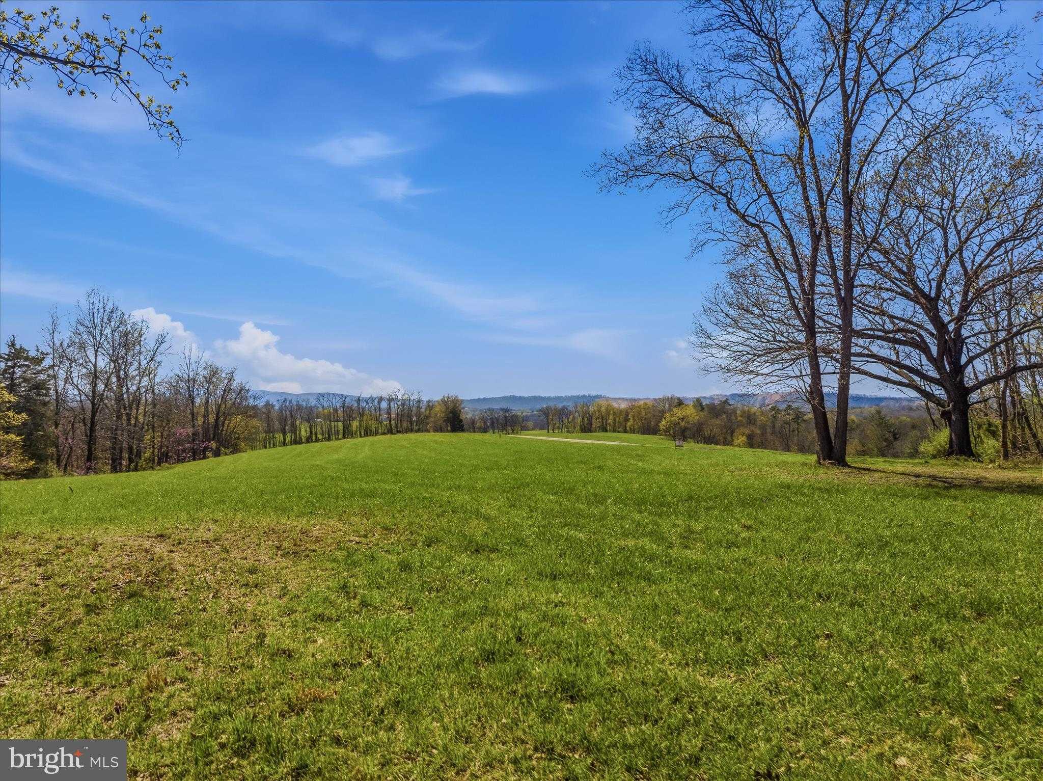 1907 Pious Ridge Rd photo 3