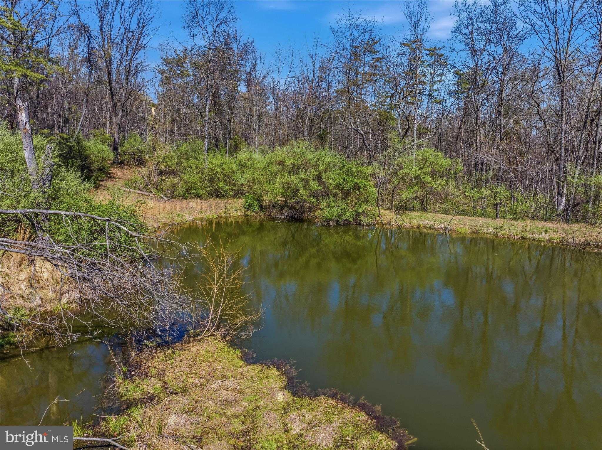 1907 Pious Ridge Rd photo 7