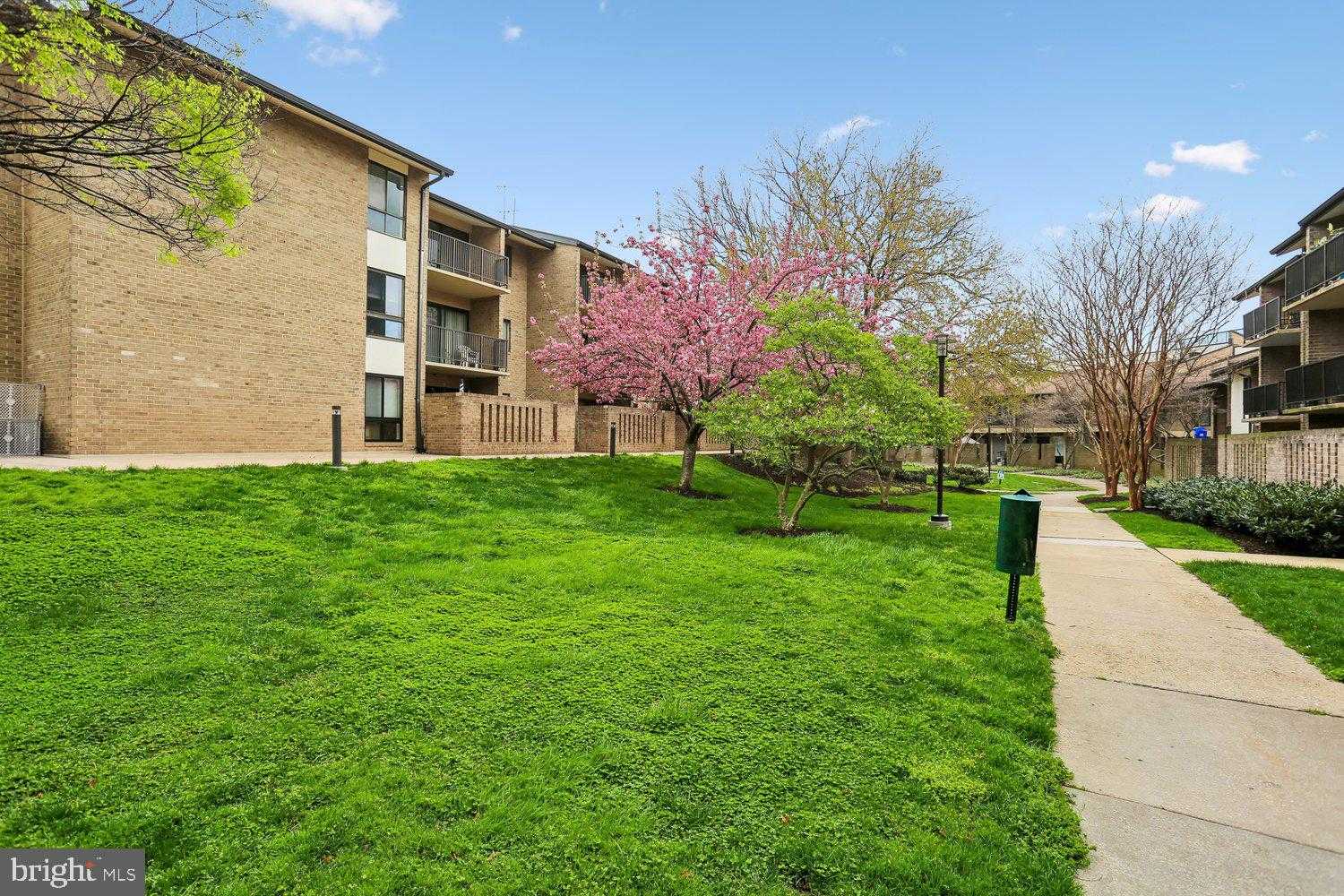 150 Monroe St photo 11