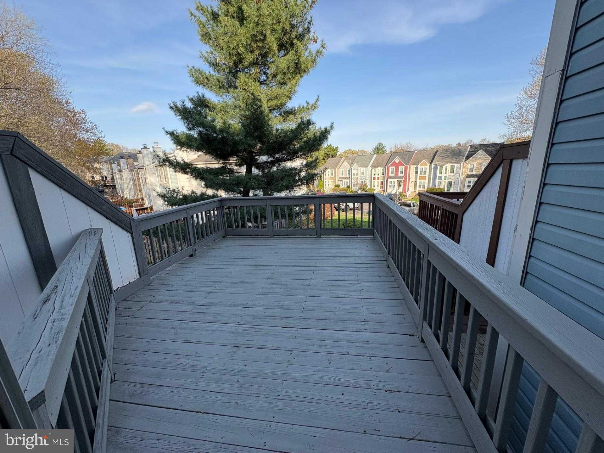 6123 Liverpool Ln photo 9