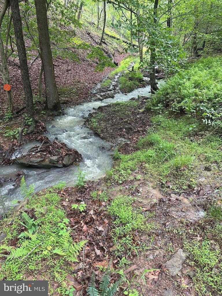 400 Locust Ridge Rd photo 12