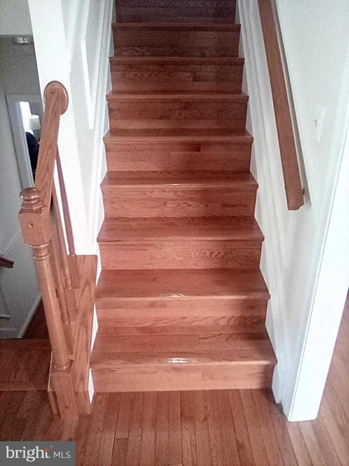 5325 Wildlife Pl photo 34