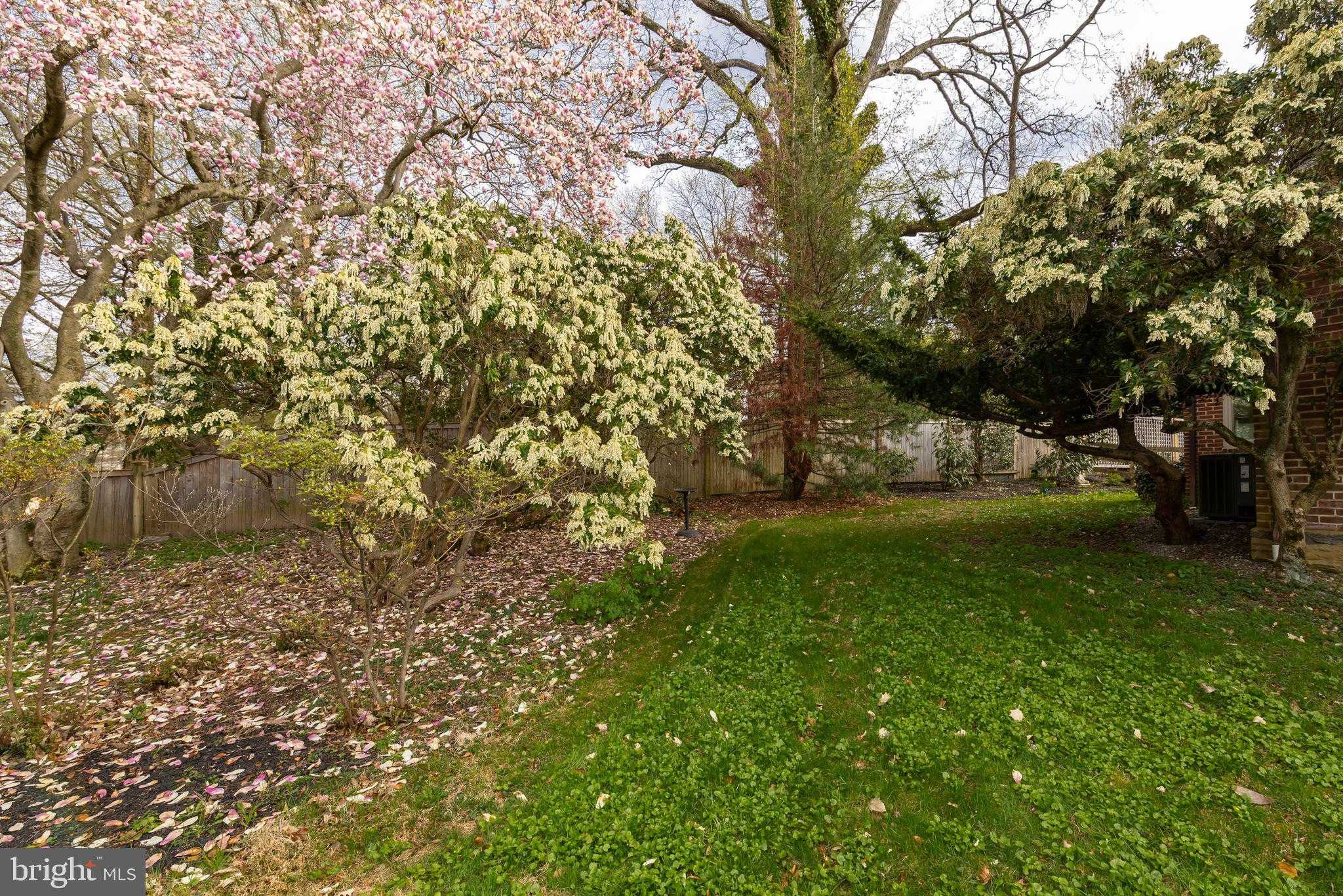 8862 Norwood Ave photo 45