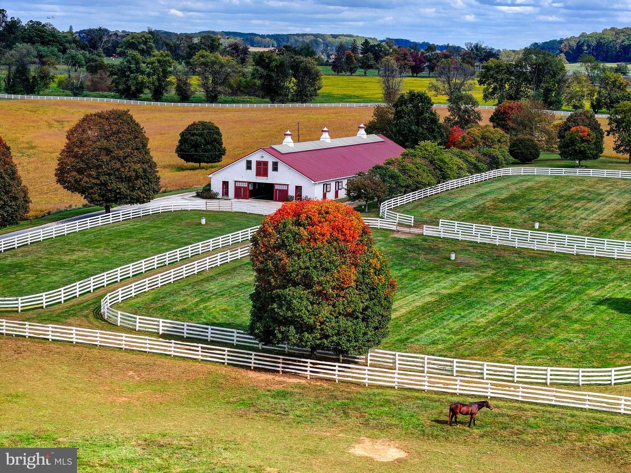 3366 Belmont Ave photo 76