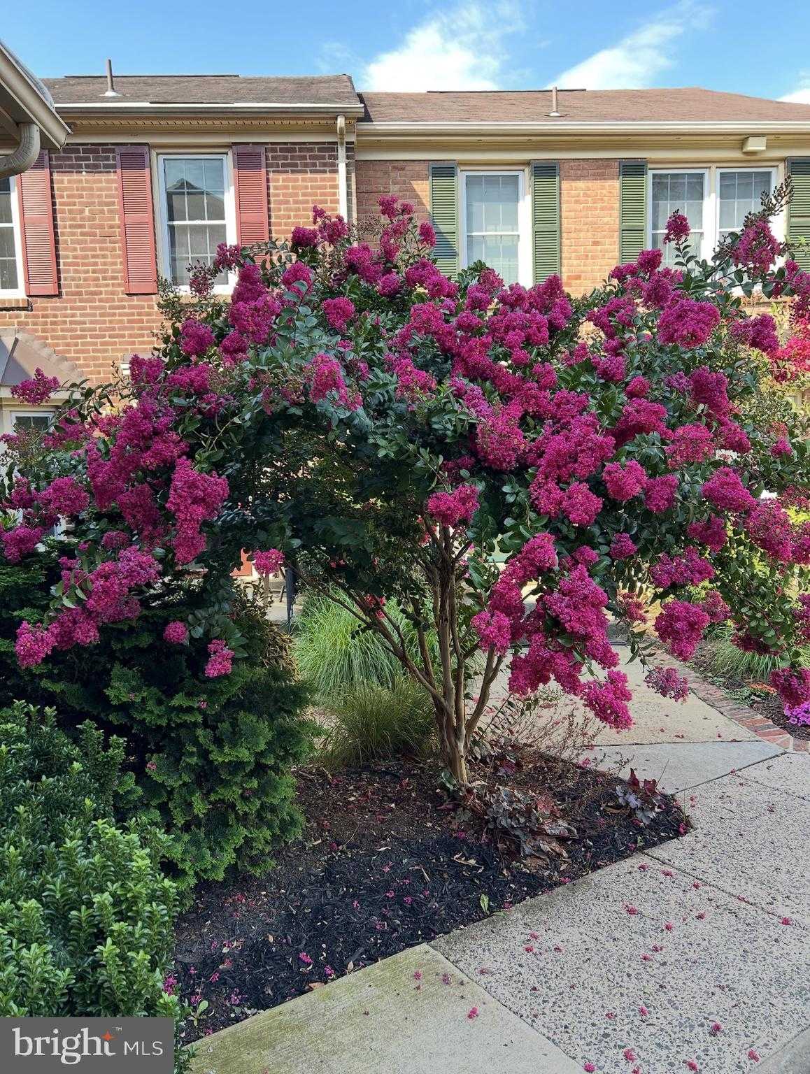 3005 Meeting St photo 29