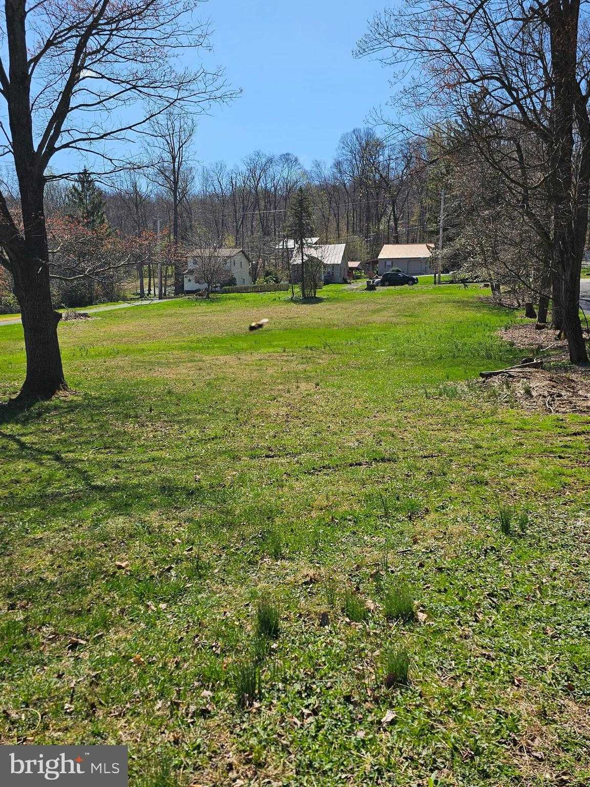 993 Mount Wilson Rd photo 4