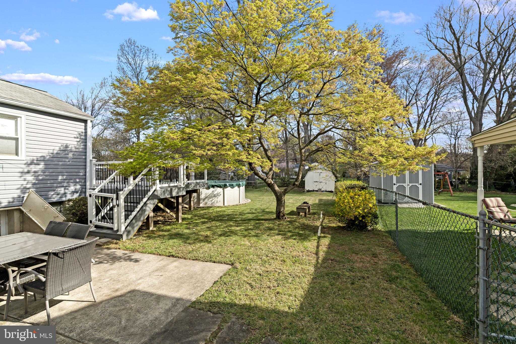 517 Evans Ave photo 28