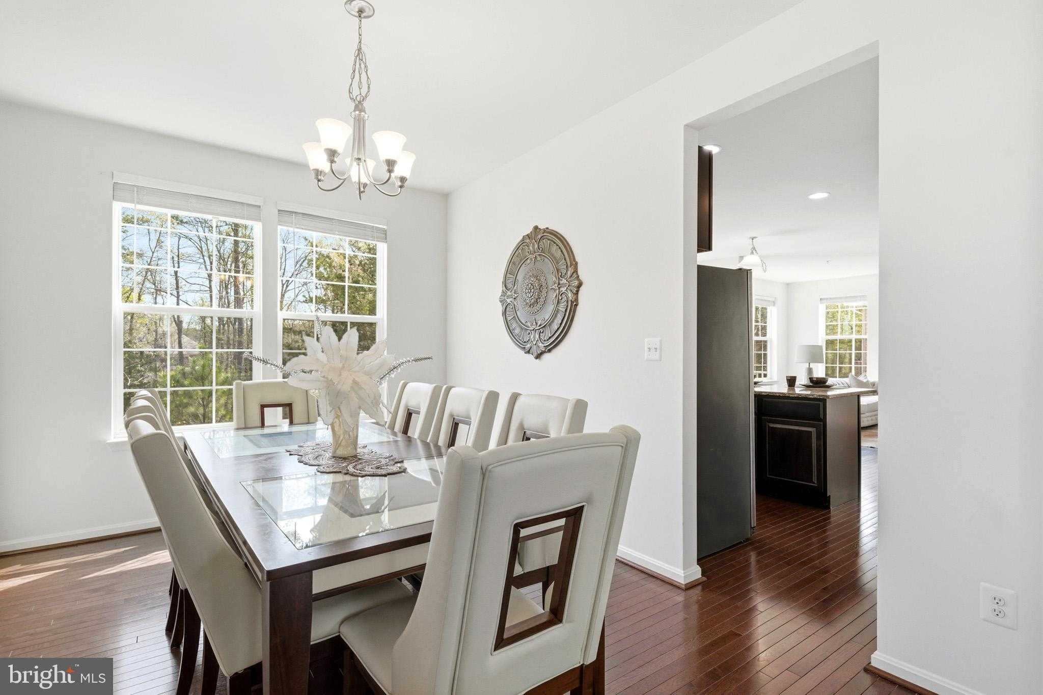 46159 Seabiscuit CT photo 9