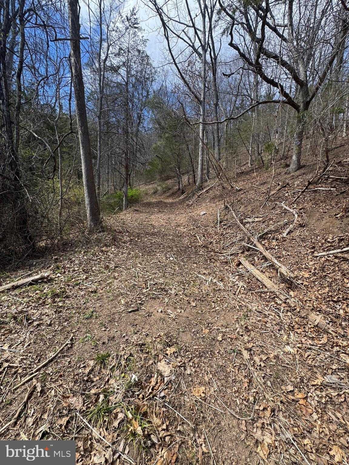 18250 S Fork Rd photo 67