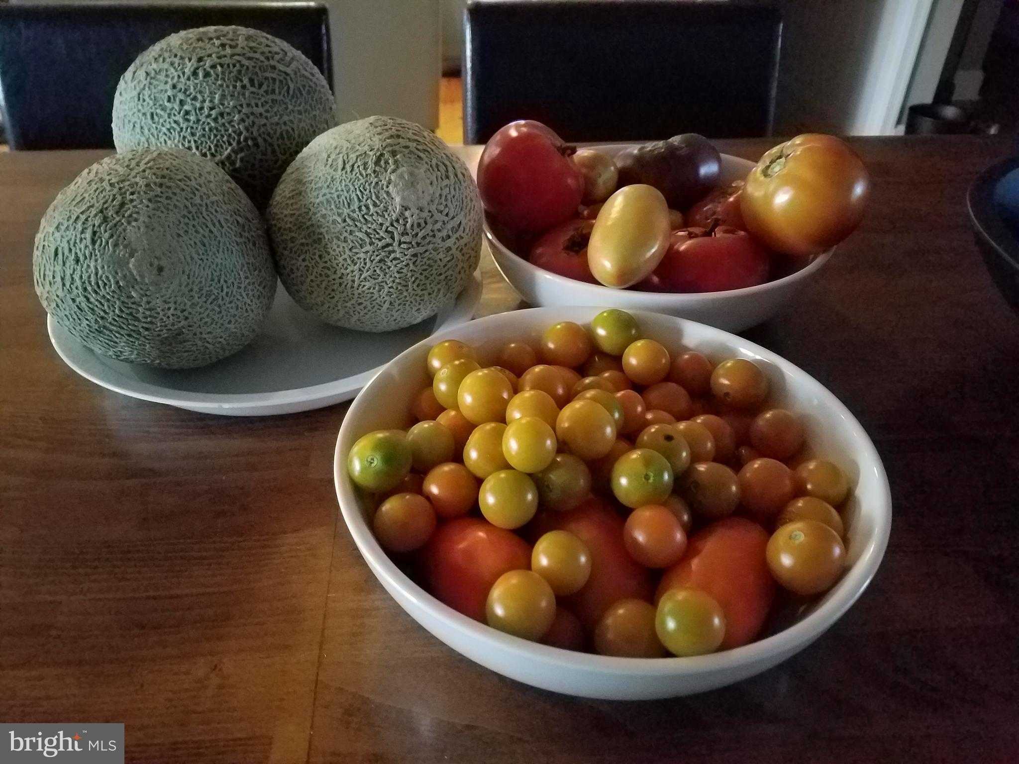 3505 Sarah Dr photo 65