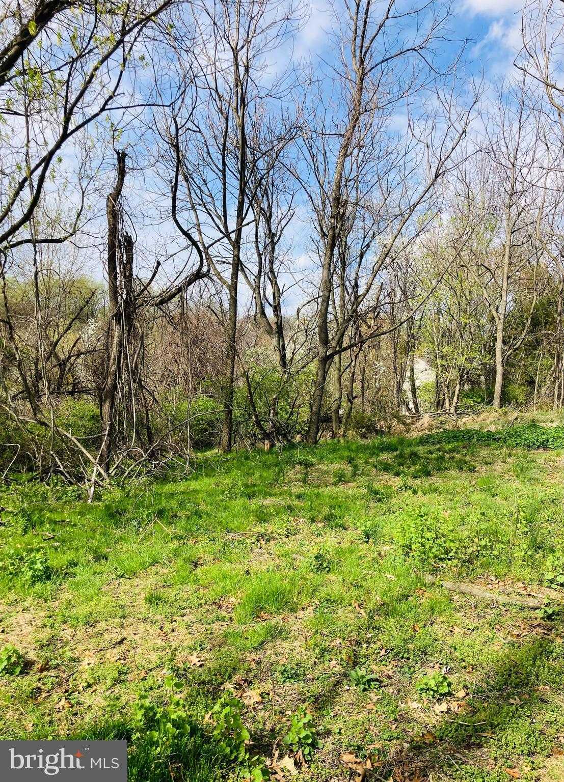 112 Bancroft Rd photo 4