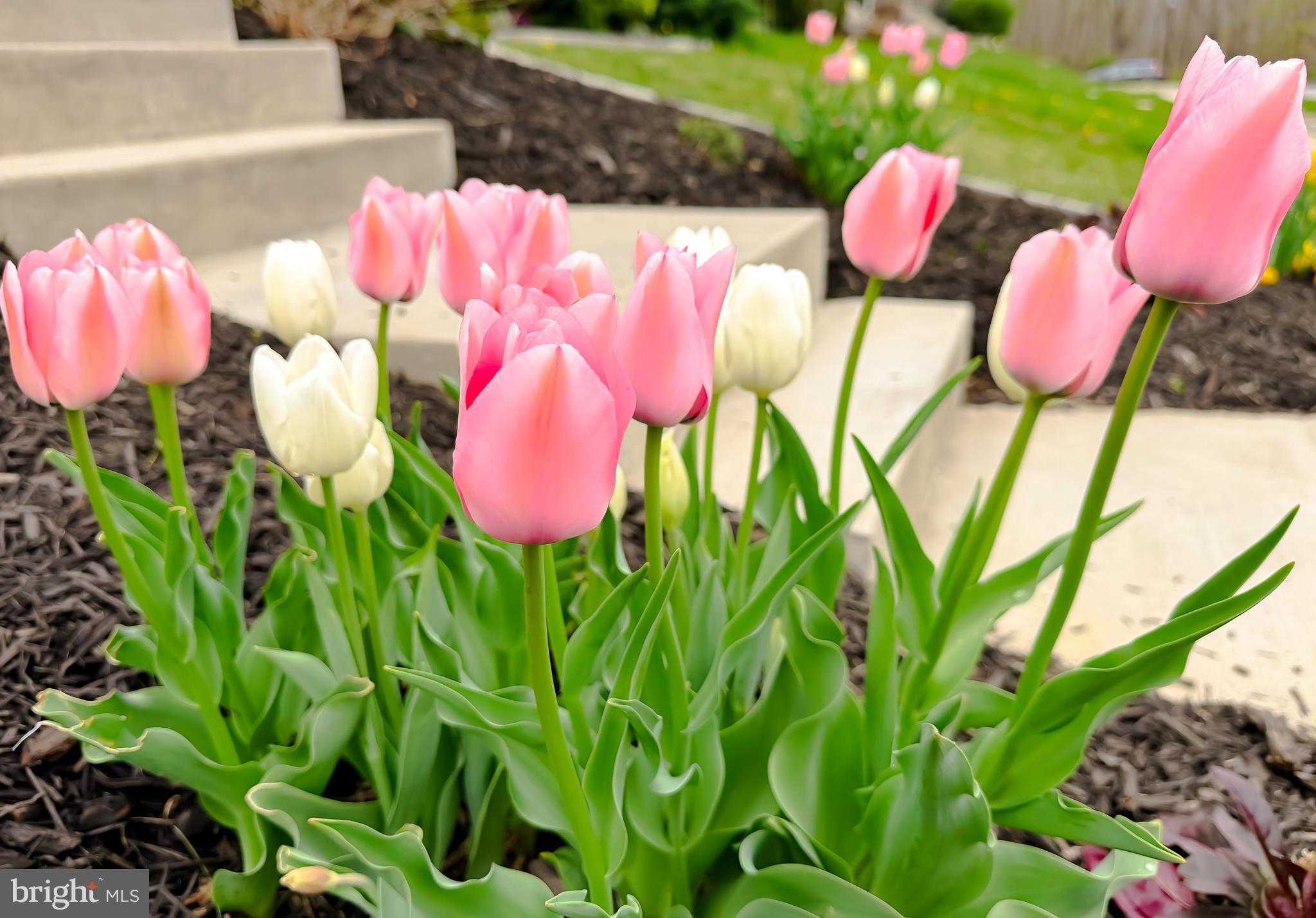 41505 Margrove Cir photo 32