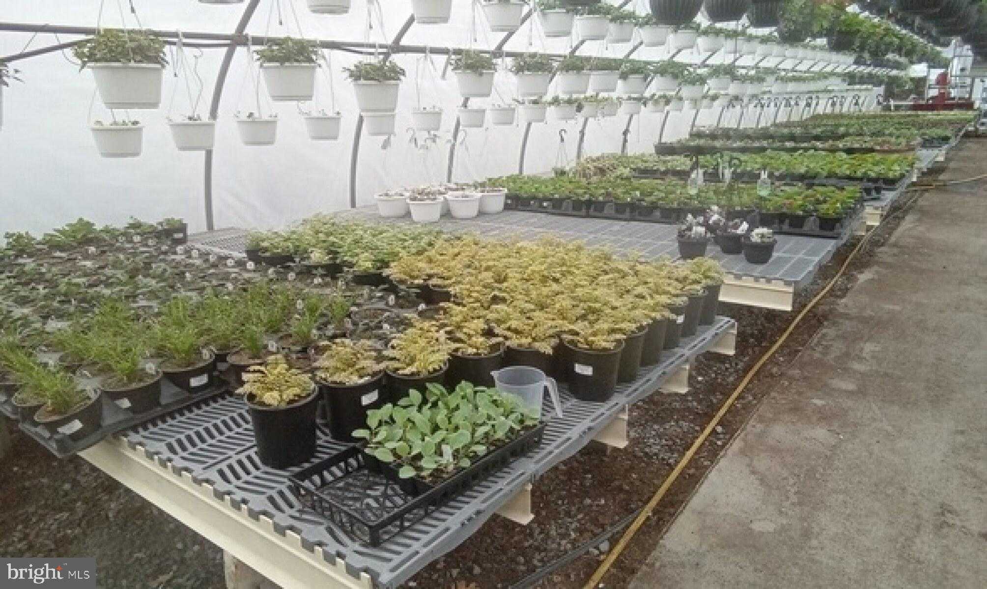 195 Hair Rd photo 18