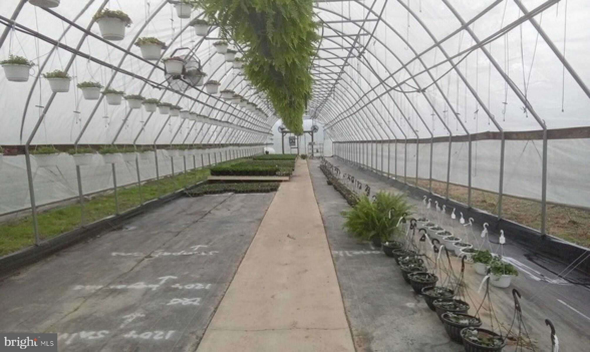 195 Hair Rd photo 23