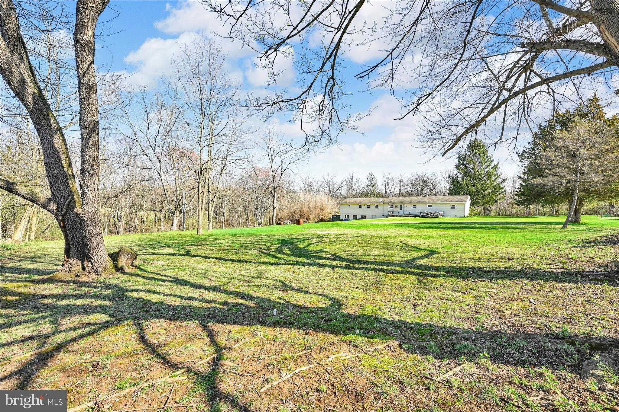 83 Silvertown Rd photo 38