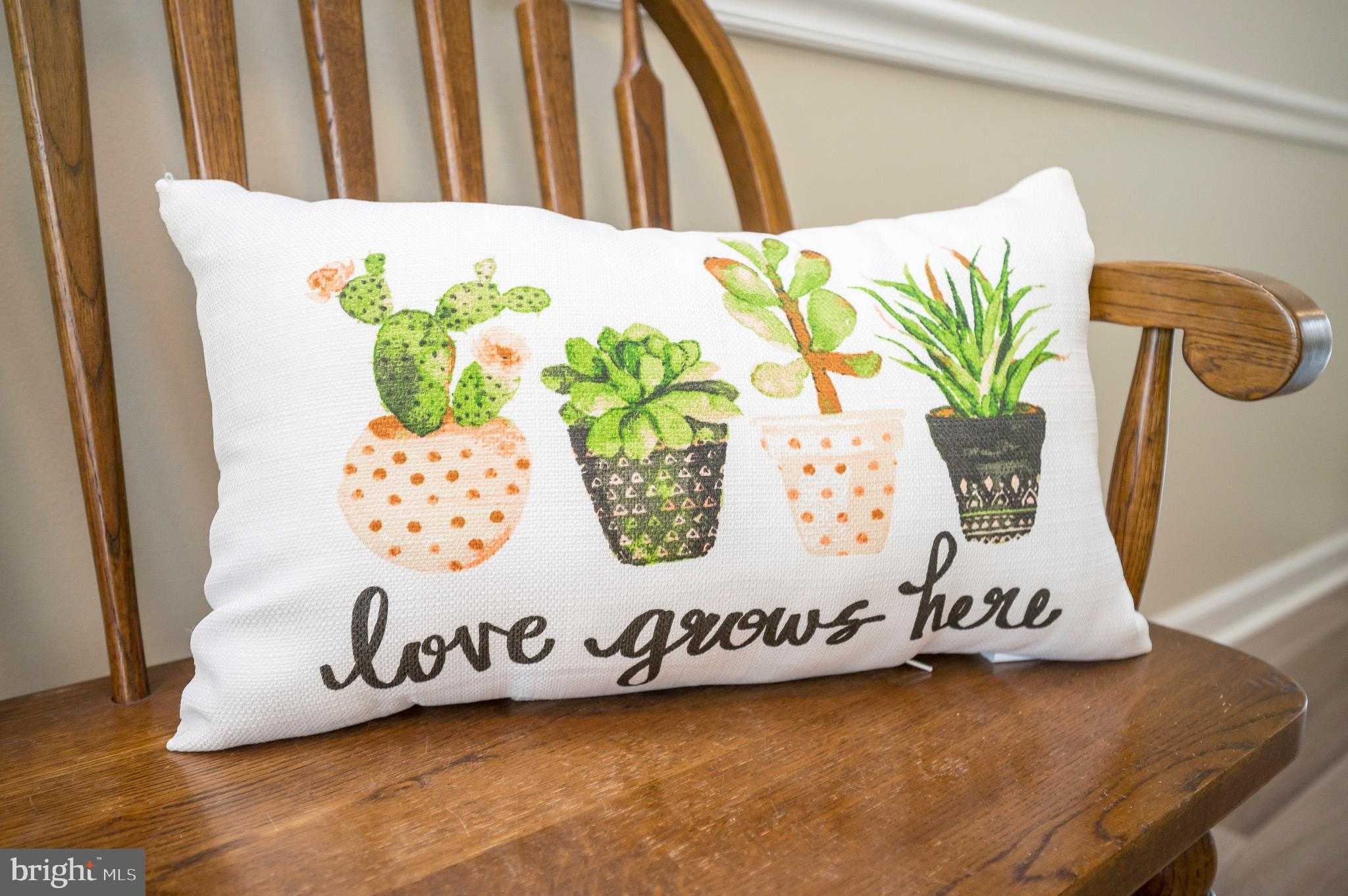 521 Liberty Blvd photo 4