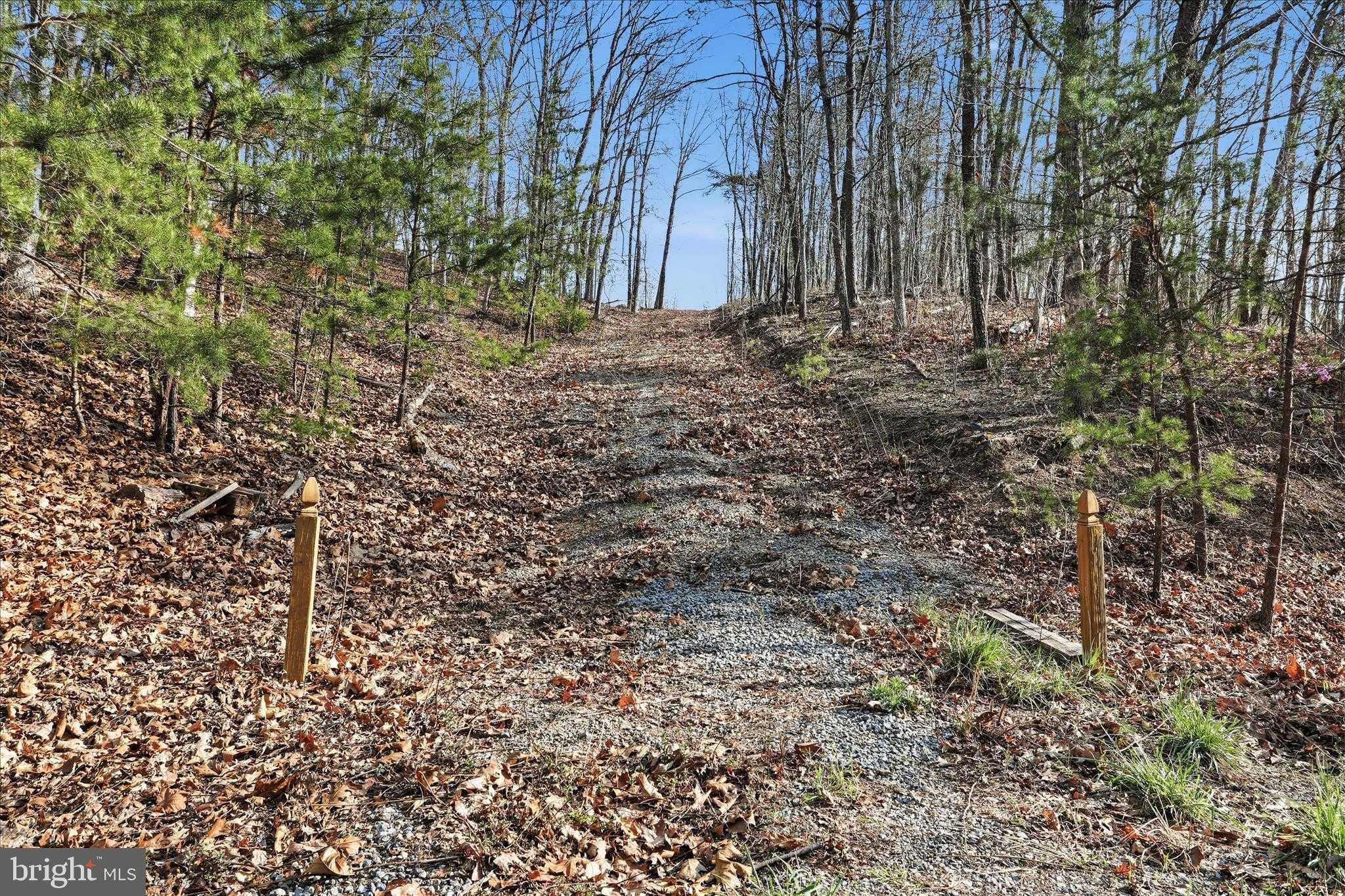 N Frederick Pike photo 2