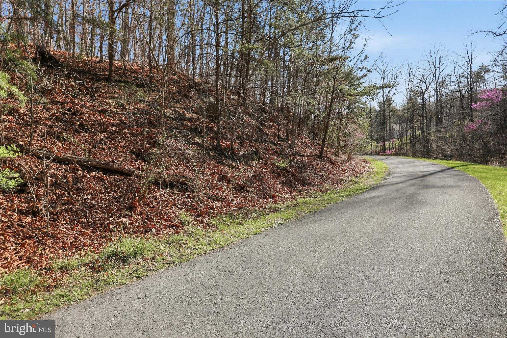 N Frederick Pike photo 7