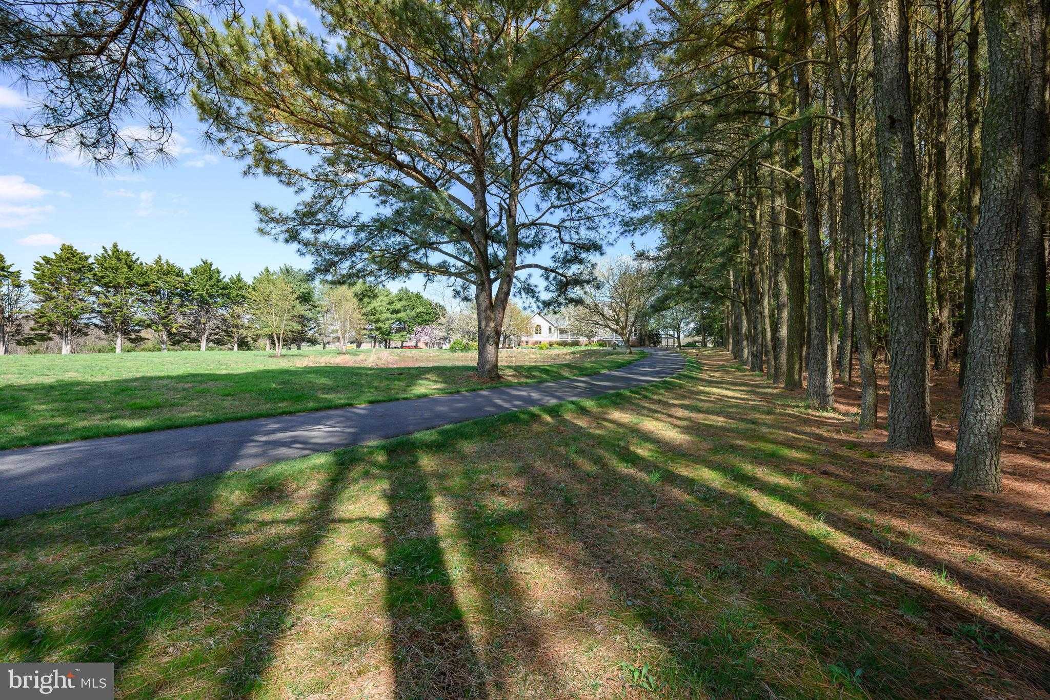 1901 Cox Neck Rd photo 78