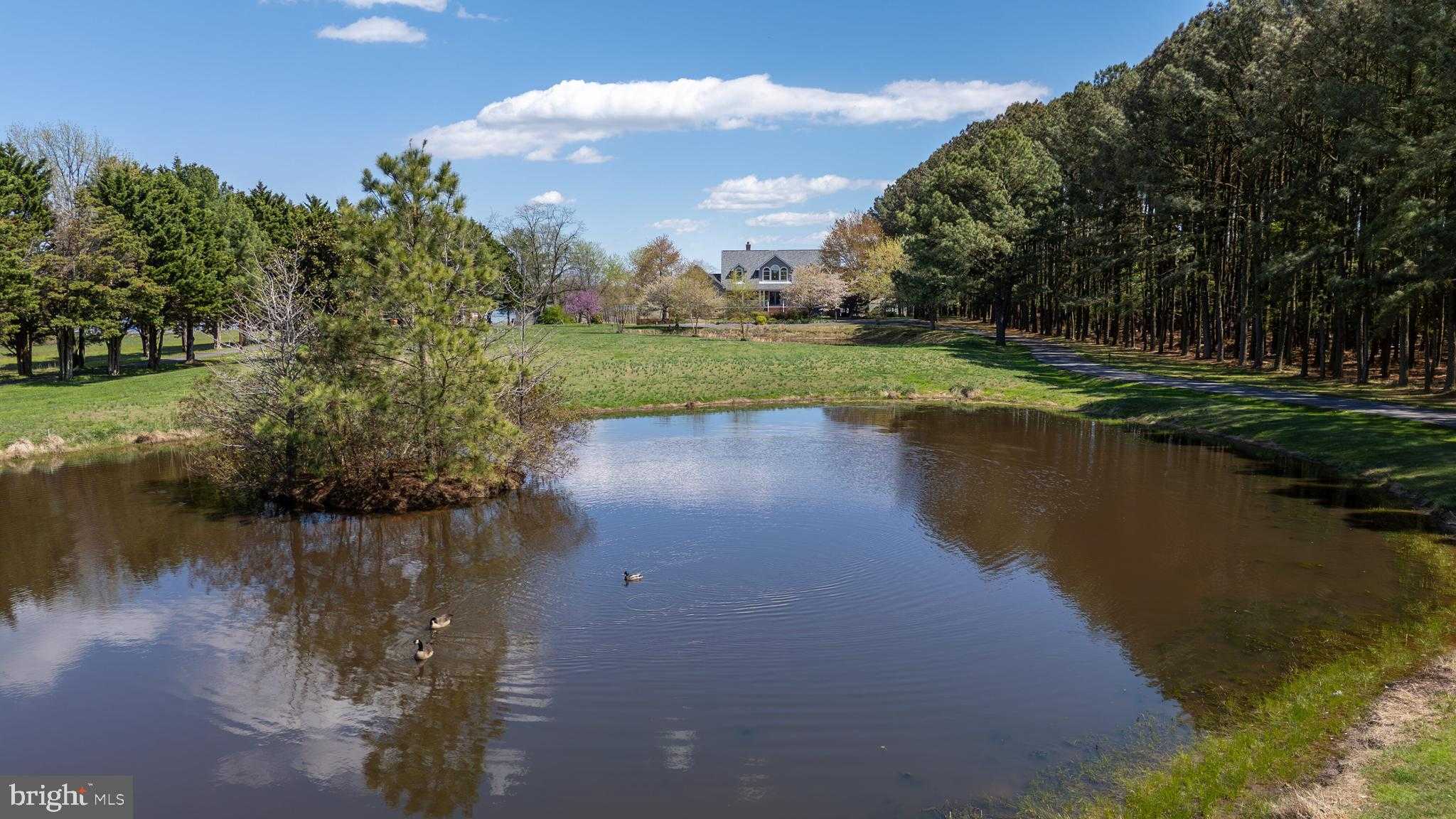 1901 Cox Neck Rd photo 92