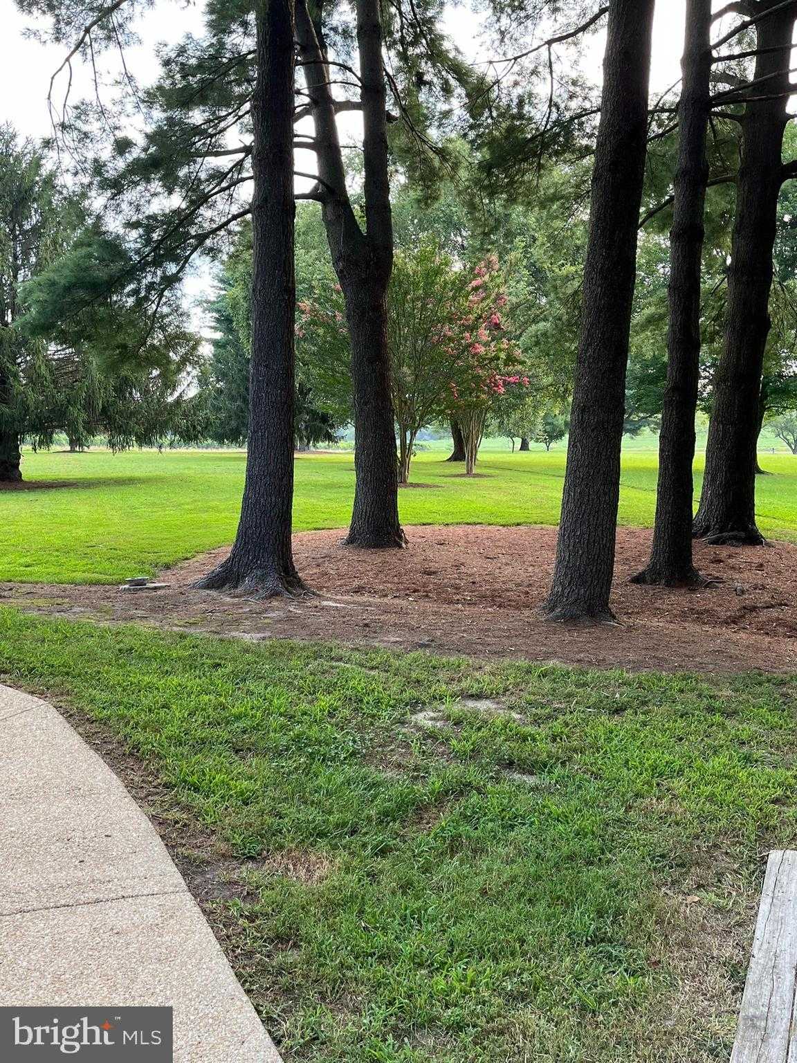 4030 Fridays Ln photo 68