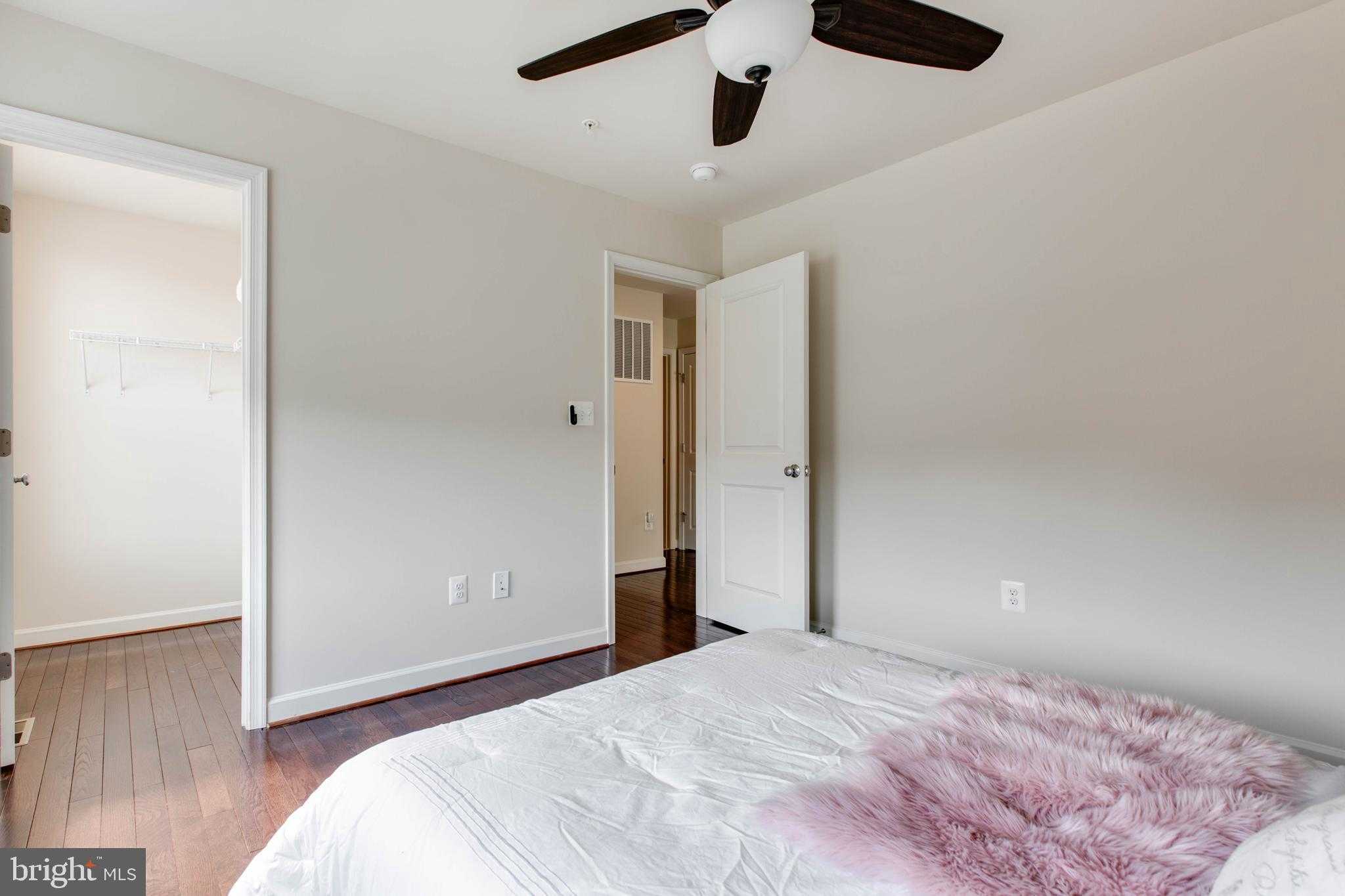 4396 Shamrock Dr photo 42