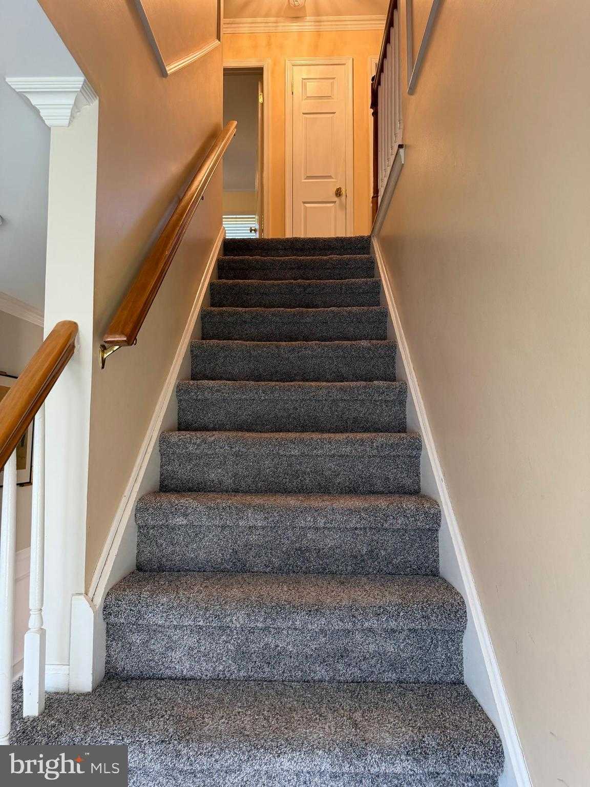 1038 Fawn Dr photo 21