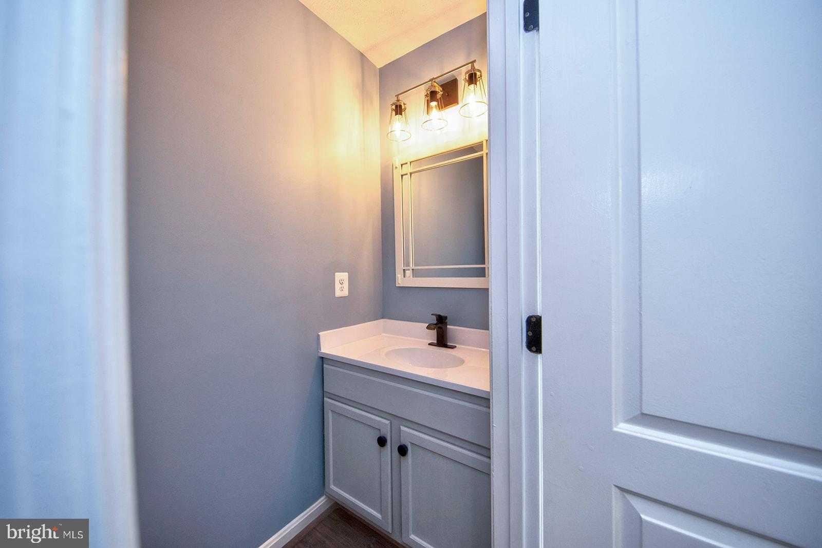 337 Woodland Green Ct photo 21