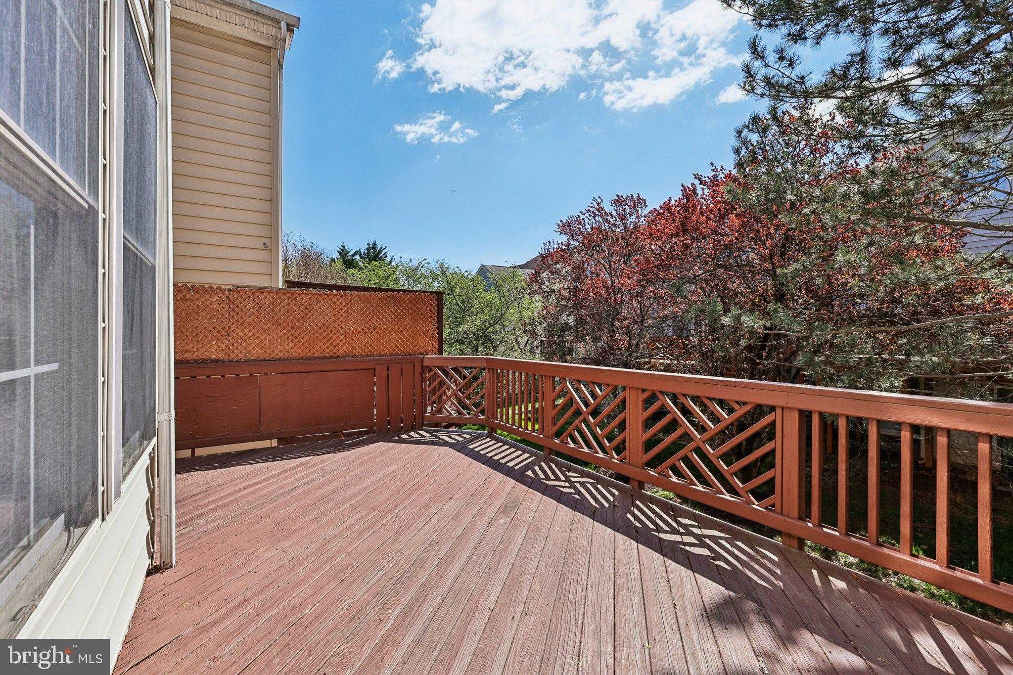 12915 Starters Ln photo 49