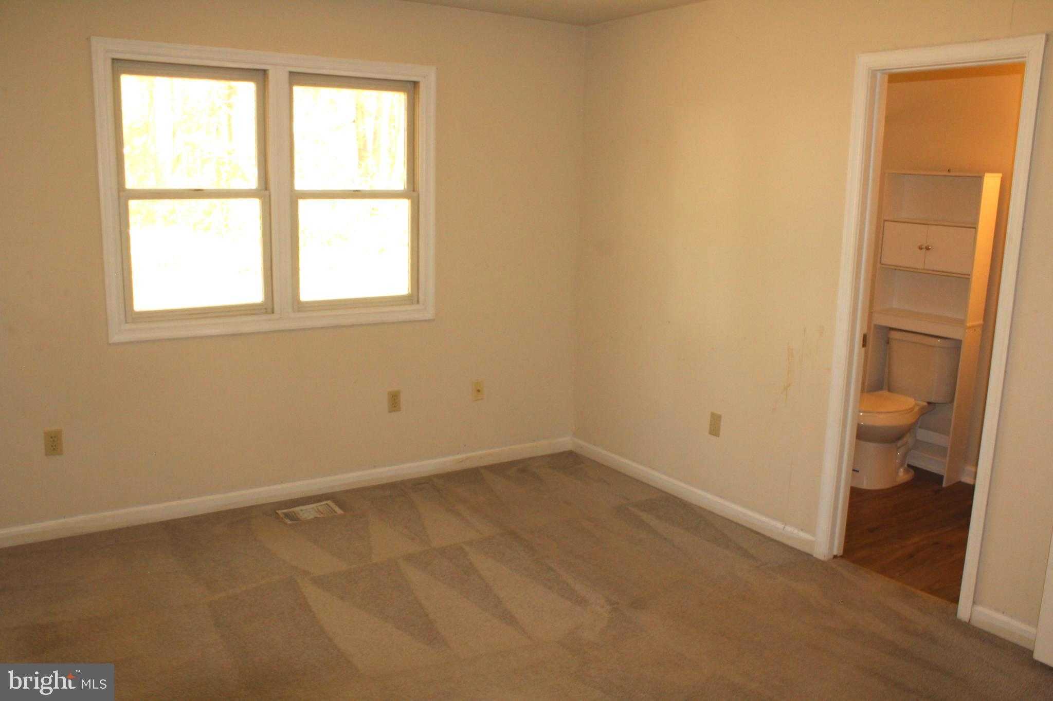 11301 Piney Forest Dr photo 53